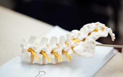 Soulager le système musculo-squelettique avec l&rsquo;Ostéopathie